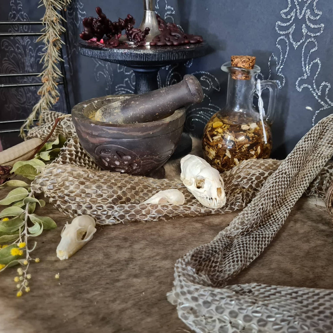 witches altar with oils, skins, bones, infusions, herbs and a mortar pestle