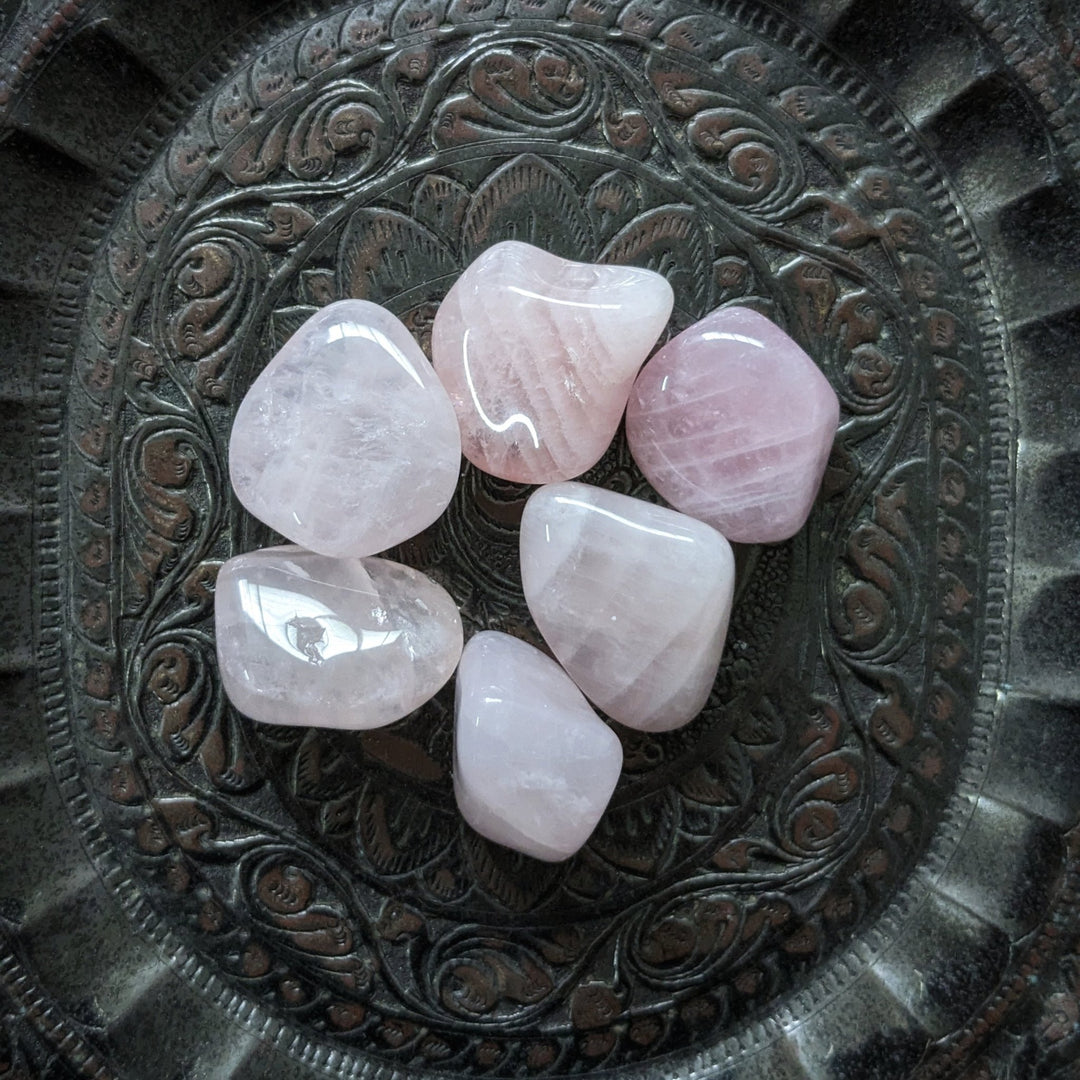 Rose Quartz A Grade Tumbled Crystals | Medium - Soap Cult Australia
